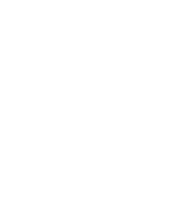 Icon of a dollar sign